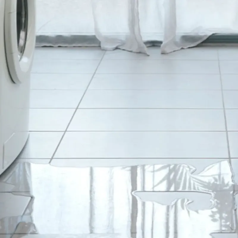 Appliance Leak Cleanup in Cheatham County, TN