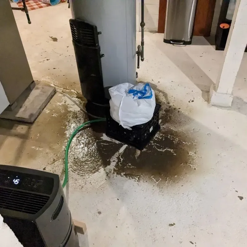 Sewage Backup Cleanup Service in Cheatham County, TN